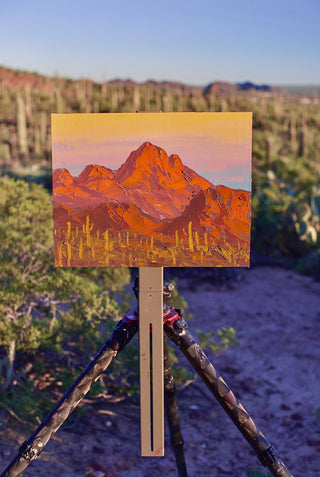 Saguaro Canyon
